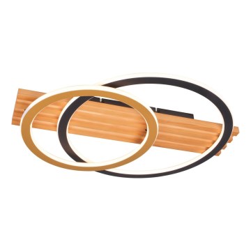 Zuma Line - Plafonnier LED/40W/230V