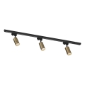 Zuma Line - Spot orientable pour rail 3xGU10/35W/230V noir/or