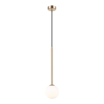 Zuma Line - Suspension filaire 1xG9/4W/230V doré
