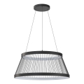 Zuma Line - Suspension filaire à intensité variable LED/53W/230V 2700-6000K noir + télécommande