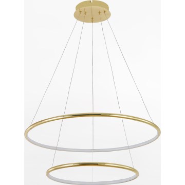 Zuma Line - Suspension filaire LED/40W/230V doré