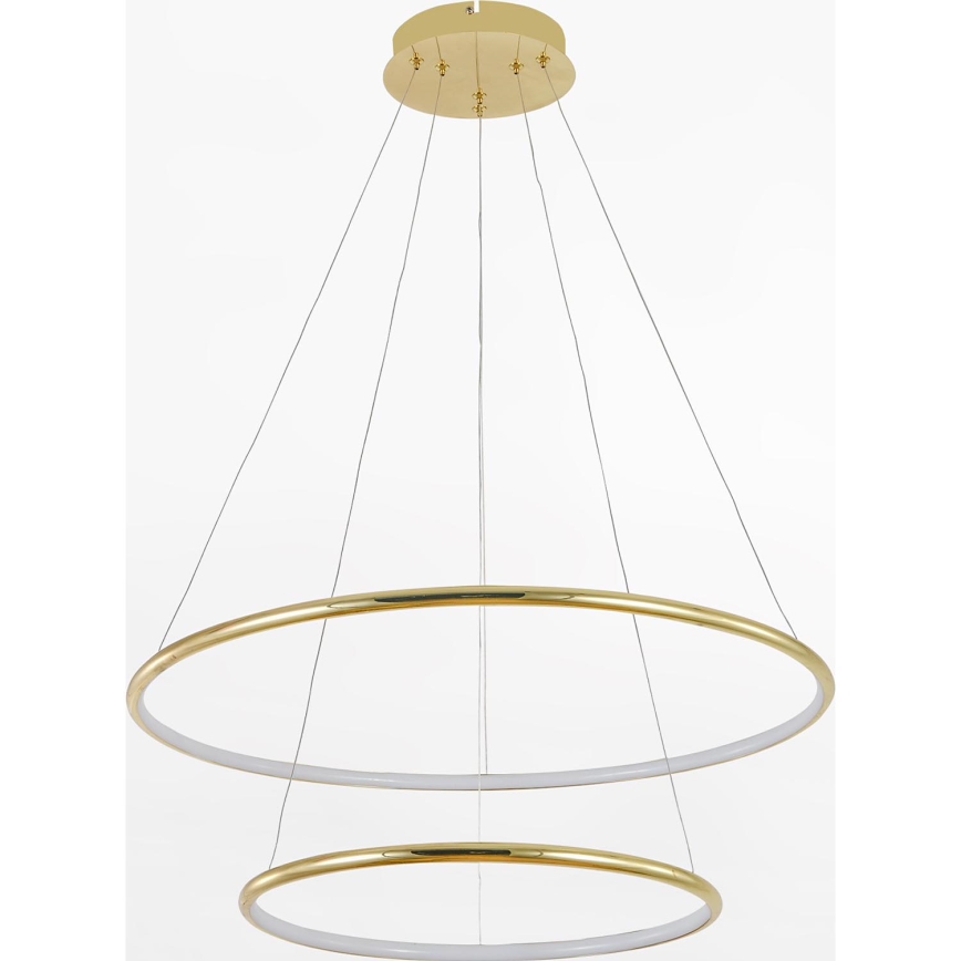 Zuma Line - Suspension filaire LED/40W/230V doré