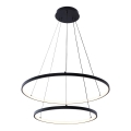 Zuma Line - Suspension filaire LED/50W/230V 3000/4000/6000K d. 60 cm noir