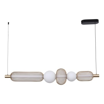 Zuma Line - Suspension LED dimmable sur câble LED/27W/230V 3000-5700K doré + télécommande