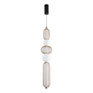 Zuma Line - Suspension LED dimmable sur câble LED/27W/230V 3000-5700K dorée + télécommande