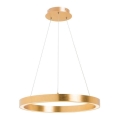 Zuma Line - Suspension LED sur câble LED/30W/230V 40 cm dorée