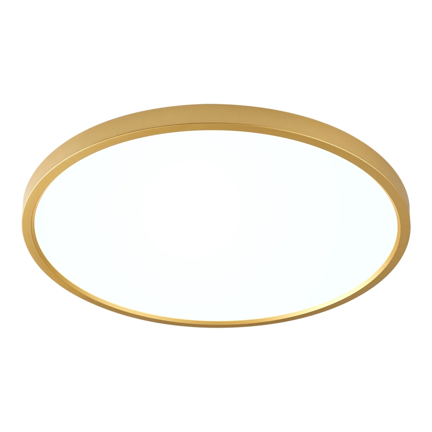 Zuma Line - Plafoniera LED/36W/230V 3000/4000/6000K Ø 40 cm dorata